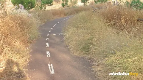 Carril bici Rabanales
