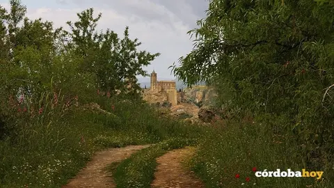 Ruta Caminos de Pasión