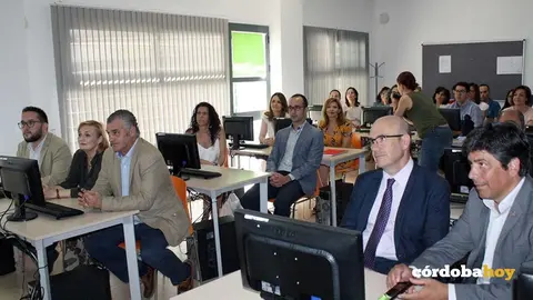 Cursos
