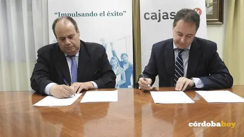 Cajasur