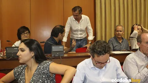 pleno 3