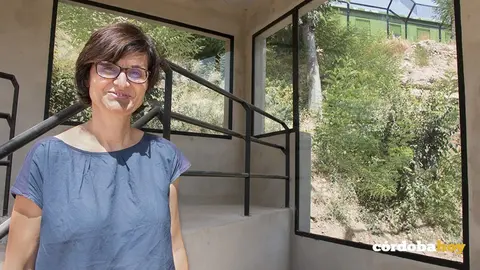 zoo
