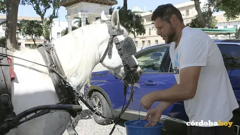 Caballos ...coches