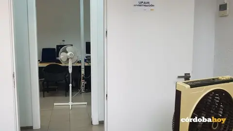 Mujer