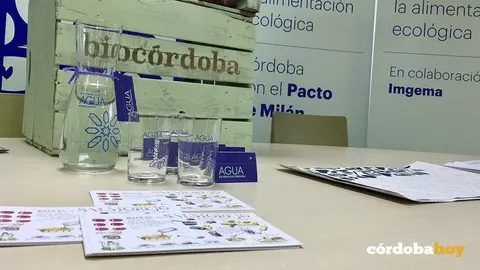 Bodegón con productos de Biocórdoba