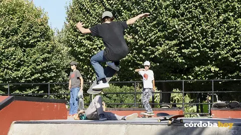 Skate3