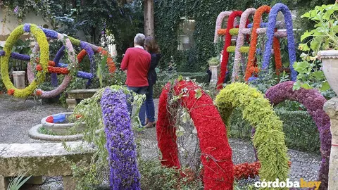 FLORA 33