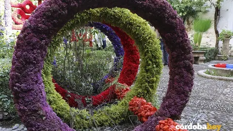 FLORA 00