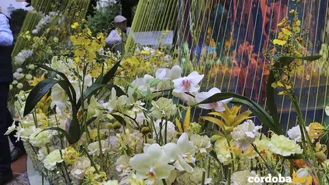 FLORA UU