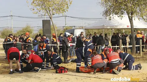 Simulacro 12
