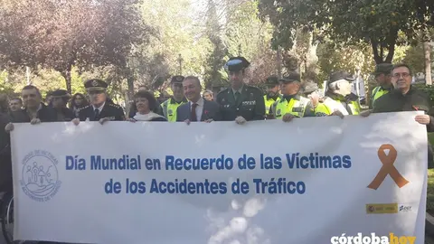 D&iacute;a tr&aacute;fico