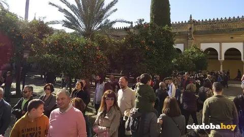 turismo puente diciembre 2018 5