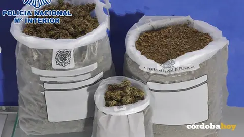 Marihuana incautada en Lucena por la Polic&iacute;a Nacional