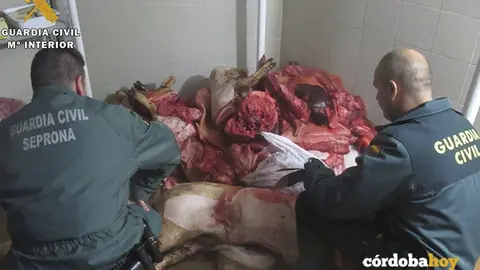 Carne incautada por la Guardia Civil de C&oacute;rdoba