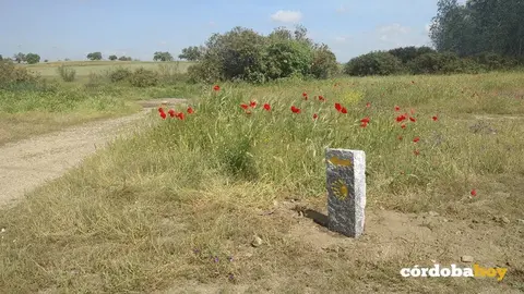 Se&ntilde;alizaci&oacute;n en el Camino Moz&aacute;rabe de Santiago en C&oacute;rdoba