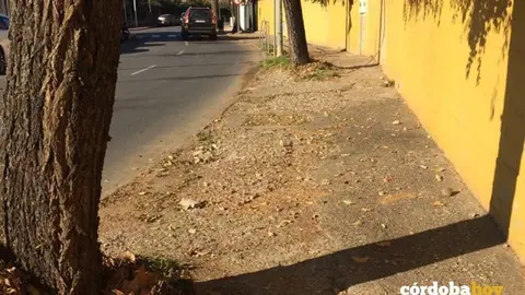 Acerado de la carretera de las Ermitas en el entorno del colegio La Salle