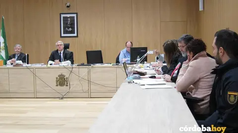 Juicio a la mujer que asesin&oacute; a su pareja en la Fuenseca de C&oacute;rdoba