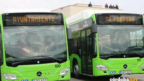 Bus 4