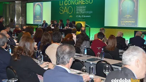 Congreso de la Sociedad Andaluza de Oftalmolog&iacute;a en C&oacute;rdoba