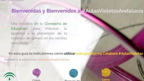 Aulas violetas