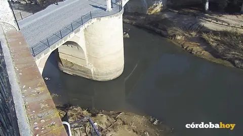 El r&iacute;o Genil a su paso por Puente Genil tras el &uacute;ltimo vertido