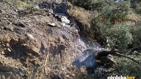Incendio agr&iacute;cola en Villanueva de C&oacute;rdoba