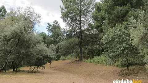 Vereda del entorno de Los Villares en C&oacute;rdoba capital