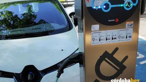 Cargador para veh&iacute;culo el&eacute;ctrico