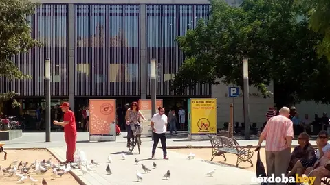 La exposici&oacute;n estar&aacute; abierta en la Biblioteca Central de Levante