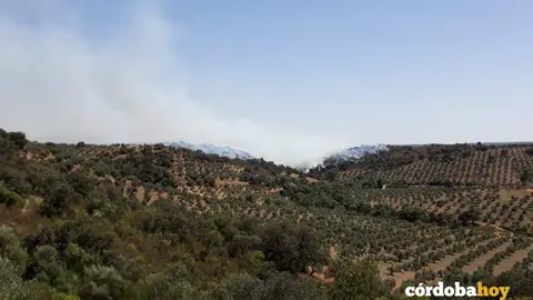 El incendio de Adamuz