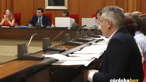 Pleno municipal de agosto de 2019 2