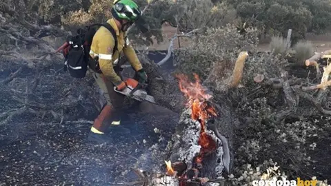 Trabajos en el incendio de Villaviciosa de 2019