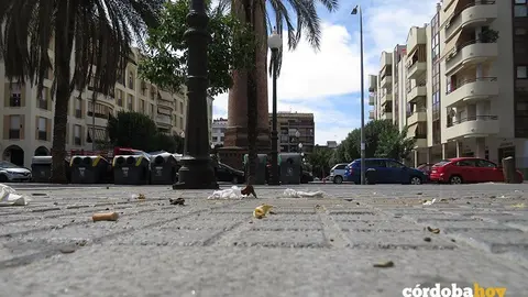 Plaza Flor de Olivo con papeles
