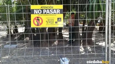 Tratamiento anti-ratas en Col&oacute;n