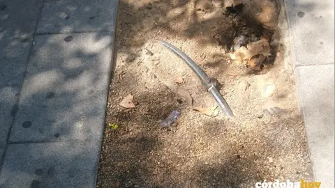 Alcorque Barrio del Naranjo