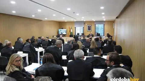 Juicio tras la operaci&oacute;n F&eacute;nix