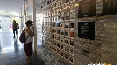 Una de las actividades de Cosmopo&eacute;tica 2019