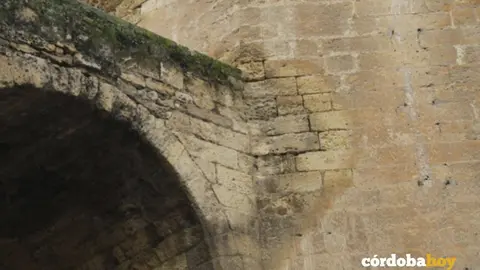 Humedades en la Torre de la Malmuerta