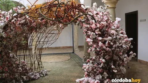 FLORA 4