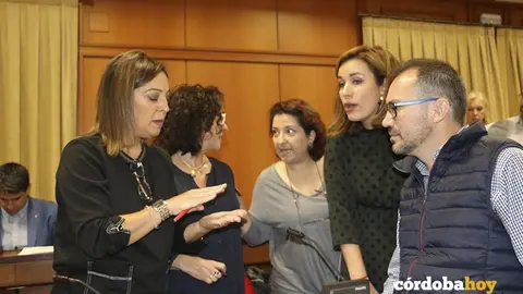 PSOE PLENO