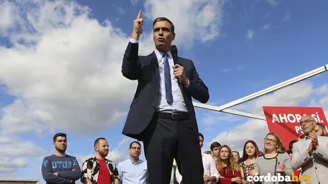 Pedro &Ccedil;Sanchez