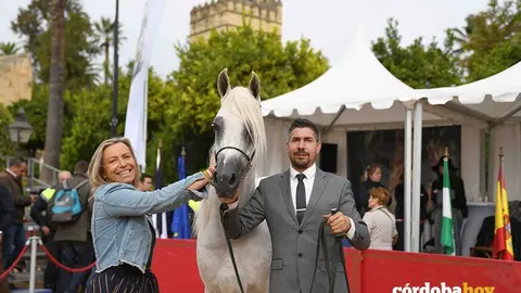 Campeonato Nacional del Caballo &Aacute;rabe en C&oacute;rdoba en 2019