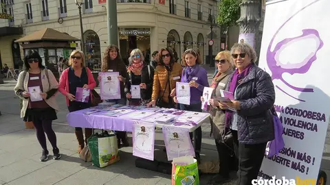 Mesa informativa de la Plataforma contra la Violencia a las Mujeres en las Tendillas 2