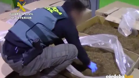 Guardia Civil