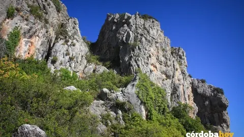 Imagen de la Sierra de la Algaida
