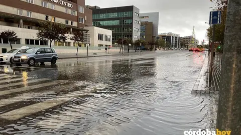 Agua 1