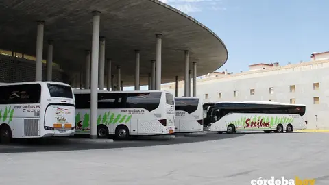 Autobuses de Socibus-Secorbus en la estaci&oacute;n de C&oacute;rdoba