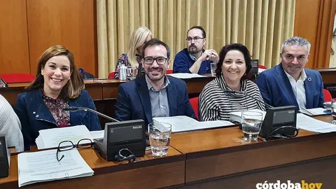 Bancada socialista en el Pleno