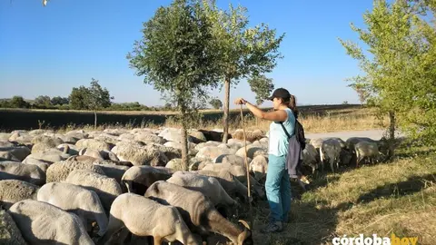 Una pastora con su reba&ntilde;o