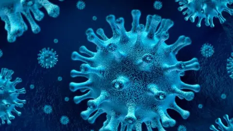 Imagen primitiva del Coronavirus